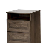 Lot de 2 tables de chevet à 2 tiroirs, style rustique – Érable gris / Noyer